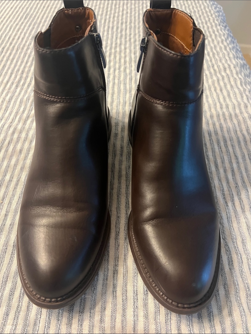 Franco Sarto Dark Brown Ankle Booties